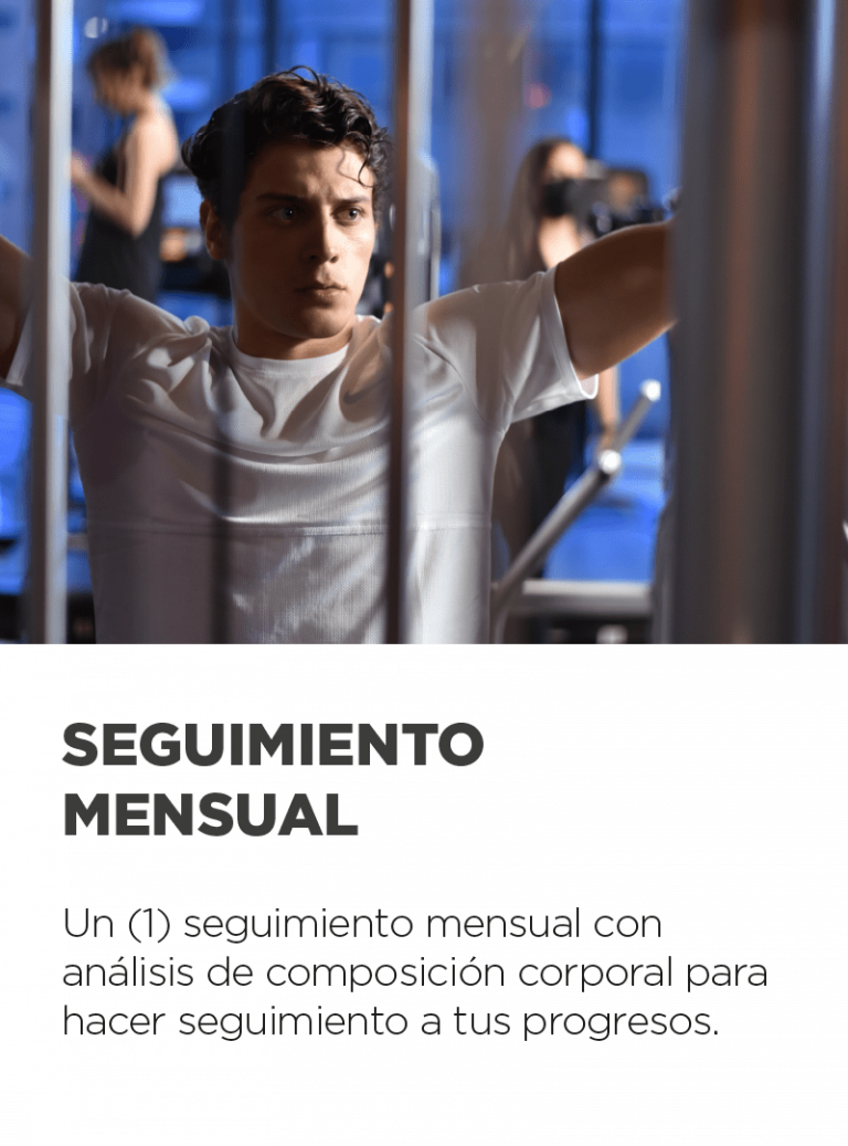 seguimiento-mensual.png